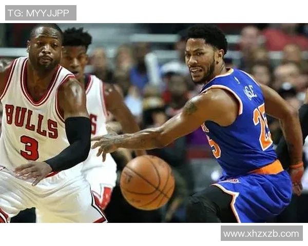 深度对话：杨磊如何在篮球世界中追寻梦想与成长的故事